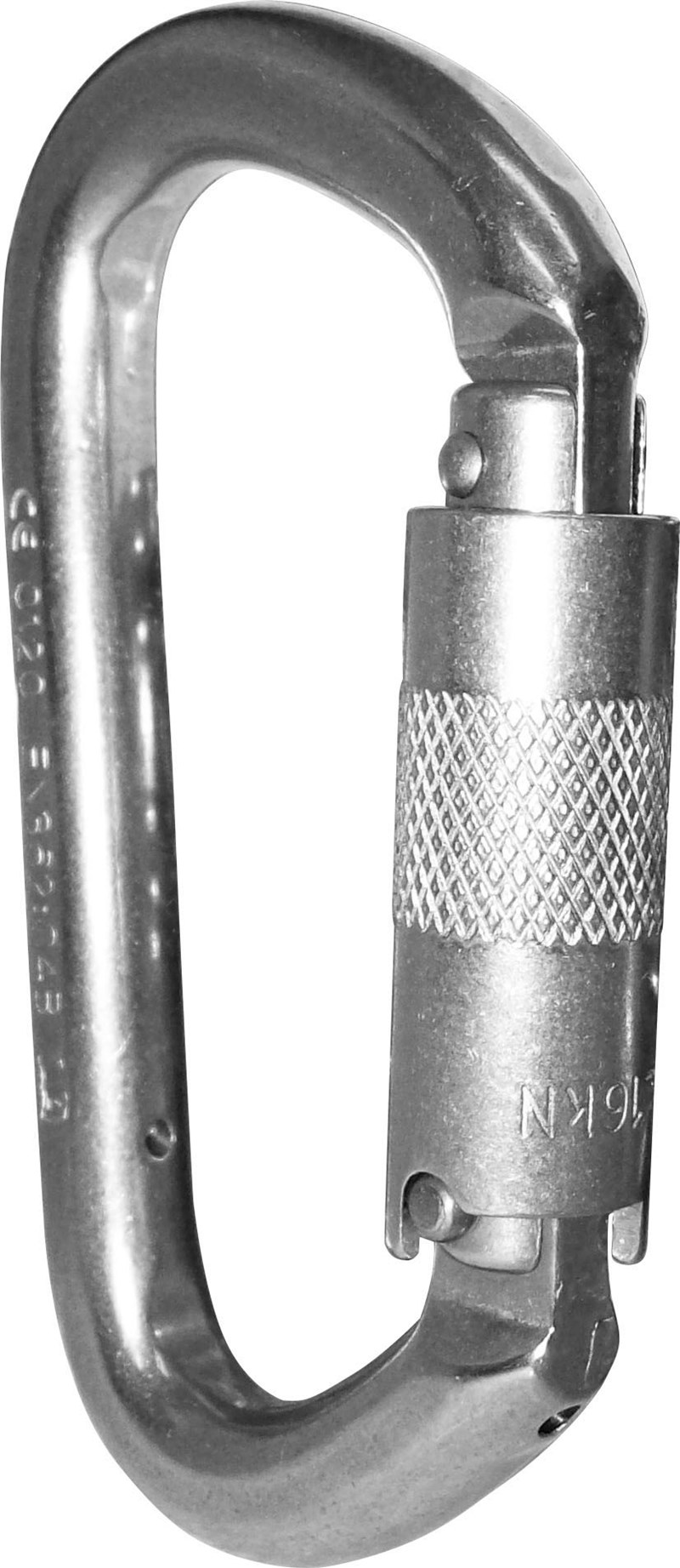 Stainless D Shape Karabiner